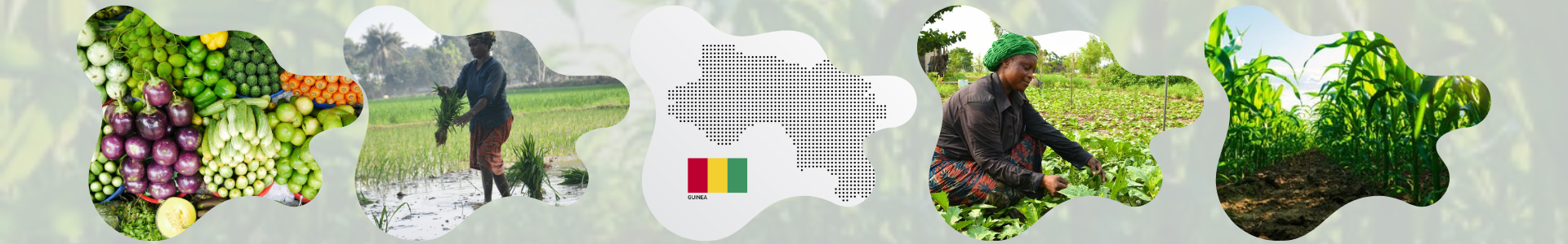 Header page Guinée